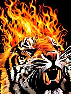 Fire Tiger 1.jpg