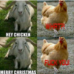 Christmas_Cow_and_Chicken.jpg